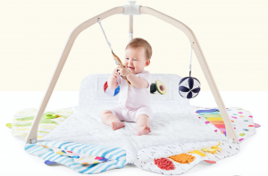 Lovevery Play Gym set up with developmental toys and play zones 