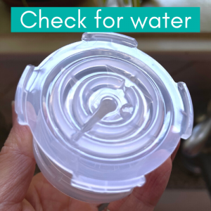 Breast pump backflow protector with water on it