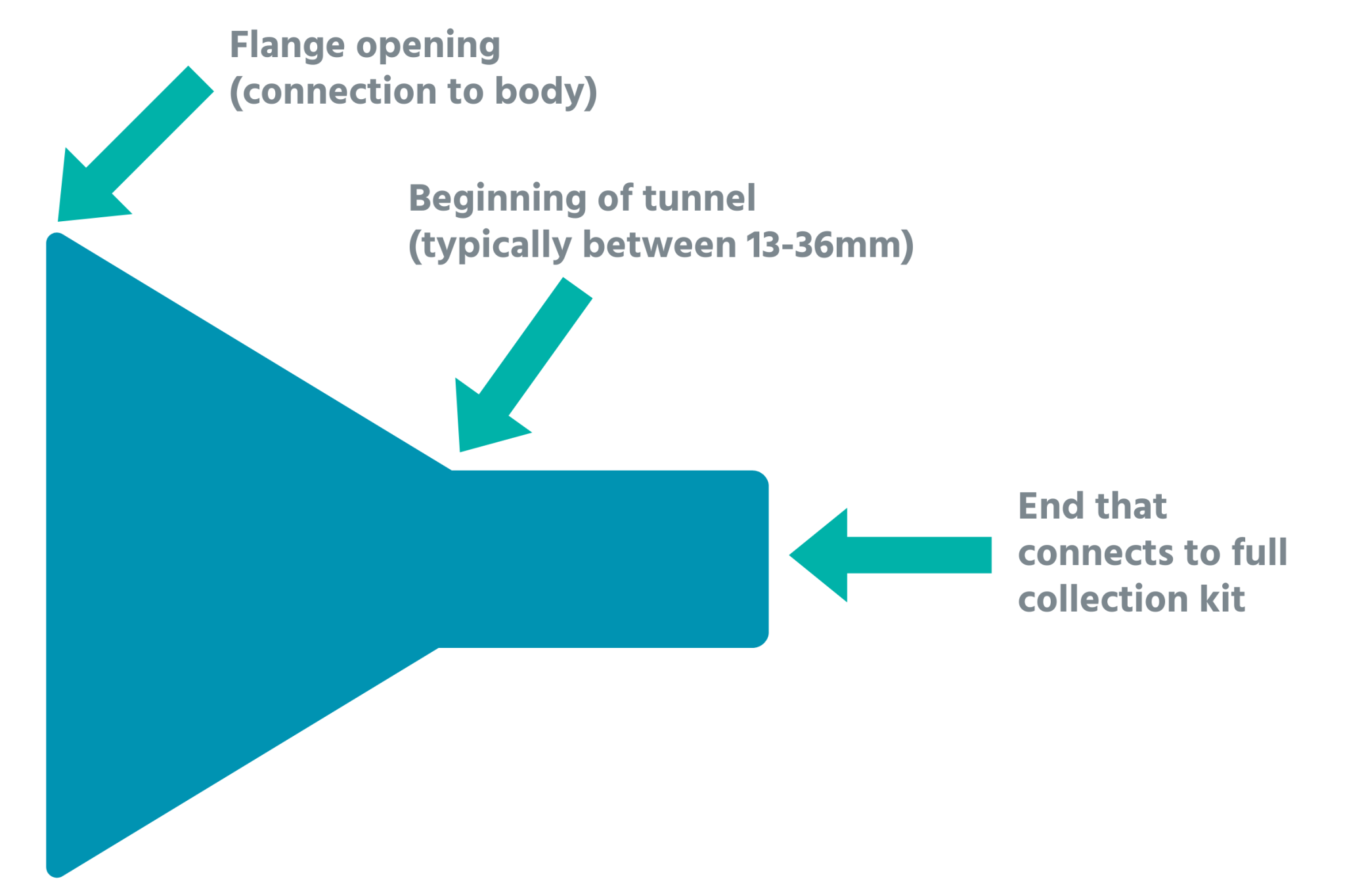 Breast shield and flange diagram